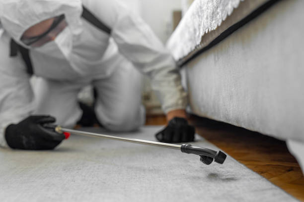 Professional Bed Bug Control technician working in Evansburg, PA