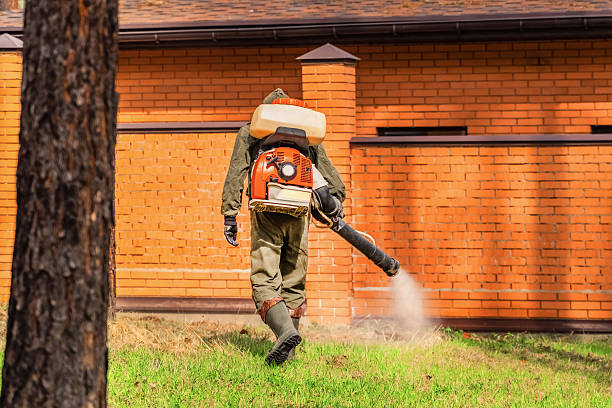 Trusted Cockroach Control service in Evansburg, PA - Nex Pest Control